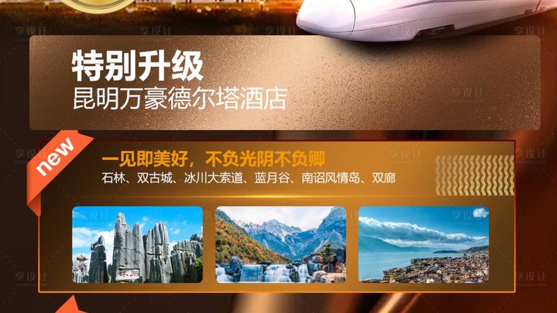 导游服务标准对比